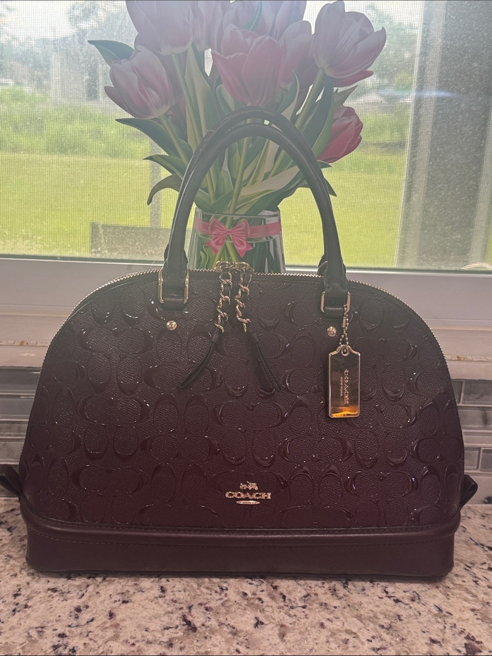 Coach Signature Debossed Patent Leather Sierra Satchel In IM/Oxblood